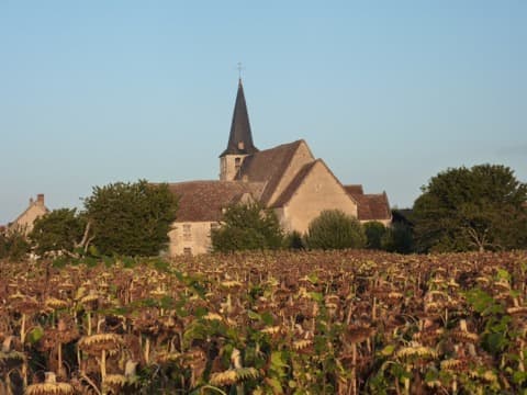 Couvreur Pouligny-Saint-Pierre