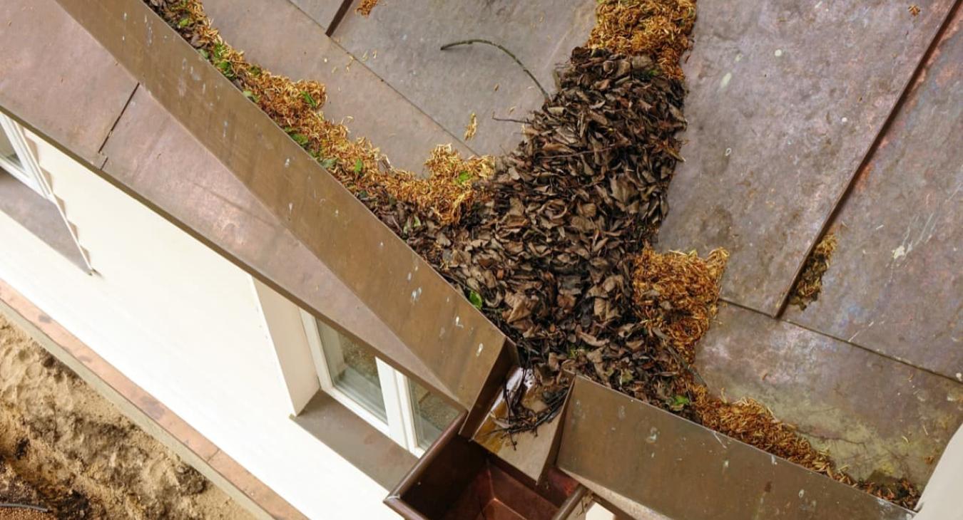 Nettoyage de toiture, Peinture & Hydrofugation de toit 36 Indre